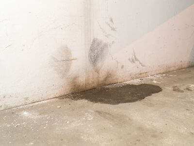 Professional attic mold removal services in Anderson - Anderson Attic Mold Removal