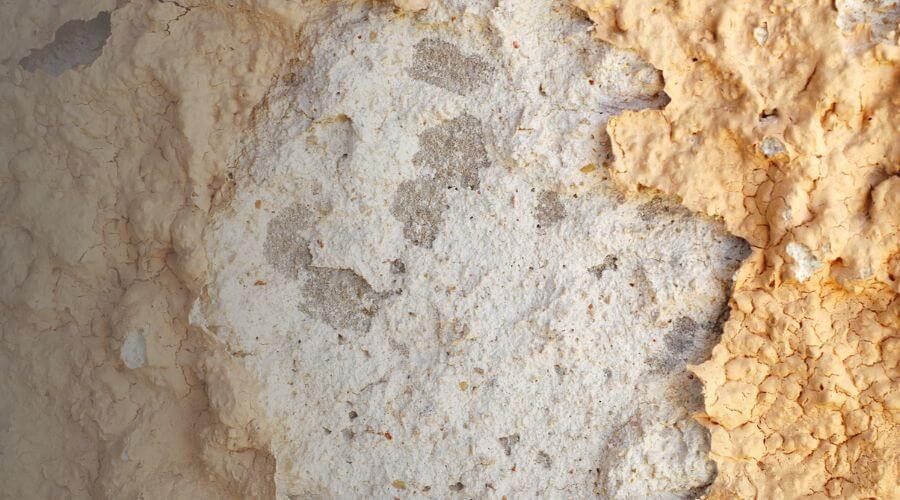 Why choose Anderson Attic Mold Removal for attic mold removal in Anderson